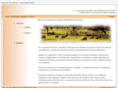 carnicasvirgendeluna.com