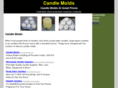 soapandcandlemolds.com