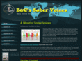 bcsobervoices.com