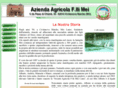 meicarni.com