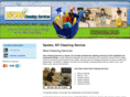 wowcleaningnv.com