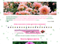 allsx.com