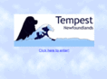 tempestnewfoundlands.com