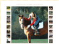 berenicehorsecompete.com