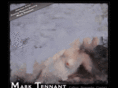 marktennantart.com
