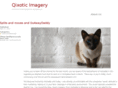 qixotic-imagery.com