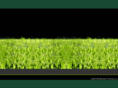 silledajardin.com