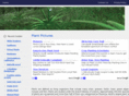 plantpictures.net
