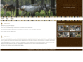 canfeleqstud.com