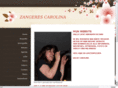 zangerescarolina.com