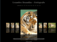 leandrobrandao.com