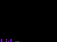 lidmagazine.net