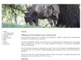 sprecher-galloway.ch