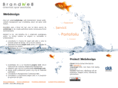 webdesign-iasi.ro