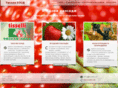 tisselli.com