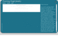 zoomingangel.com