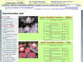 rosecandles.net