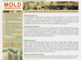 remediationmold.com
