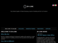 bi-link.com