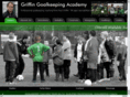 griffingoalkeepingacademy.com