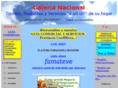 galerianacional.net
