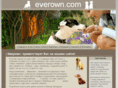 everown.com
