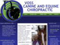 dogandhorsechiro.com