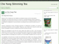 cho-yungthe.com