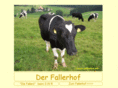 diefallers.info