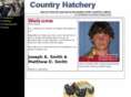 countryhatchery.net