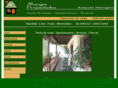 manginipropiedades.com