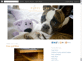 puppyluxe.com