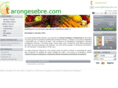tarongesebre.com