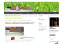 gesund-schlafen.com