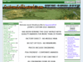 customgolfawards.com