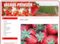 jagodeprivizer.com