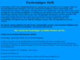 poolreiniger-welt.com