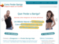 comoperderbarriga.com