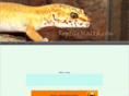 reptilemalta.com
