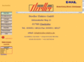 streller-elektro.com