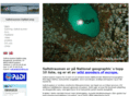 saltstraumen-divecamp.com