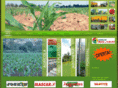 diazyvalin.com