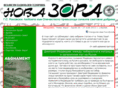 novazora.net