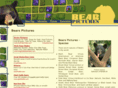 bear-pictures.org
