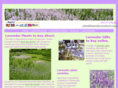 lavender-products.co.uk