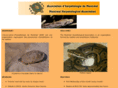 reptilesmontreal.org