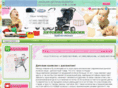 magazin-koliaski.ru
