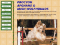 procyonafghanhounds.com