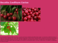 maison-cerise.com