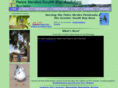pvsb-audubon.org